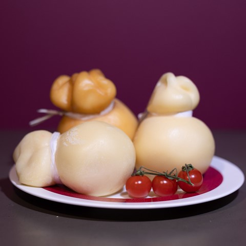 Scamorza Main Image